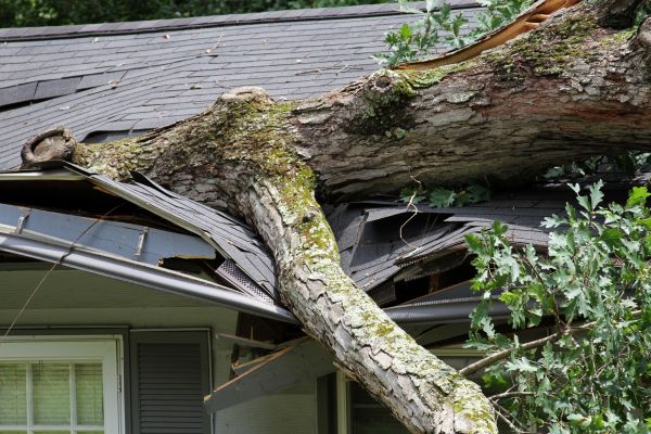 Storm Remediation in Elizabethtown