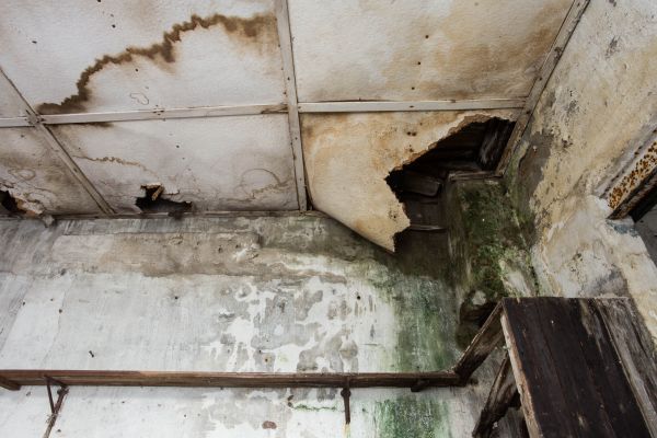 Water Damage Service in Elizabethtown