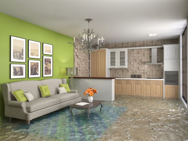 Wet Carpet Drying in Elizabethtown