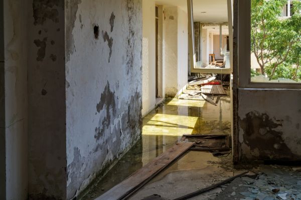 Water Removal Service in Elizabethtown