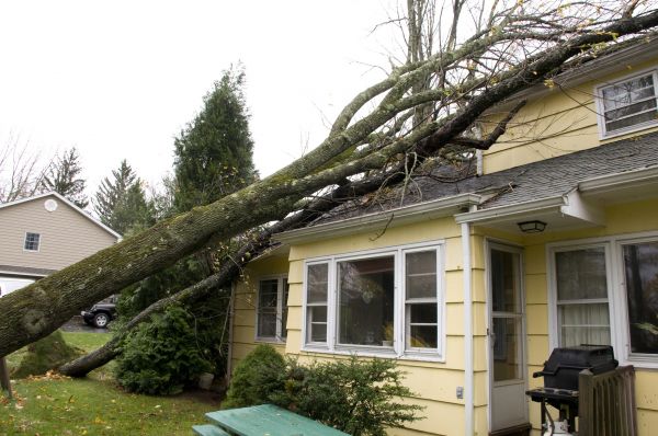 Hurricane Damage Repair in Elizabethtown
